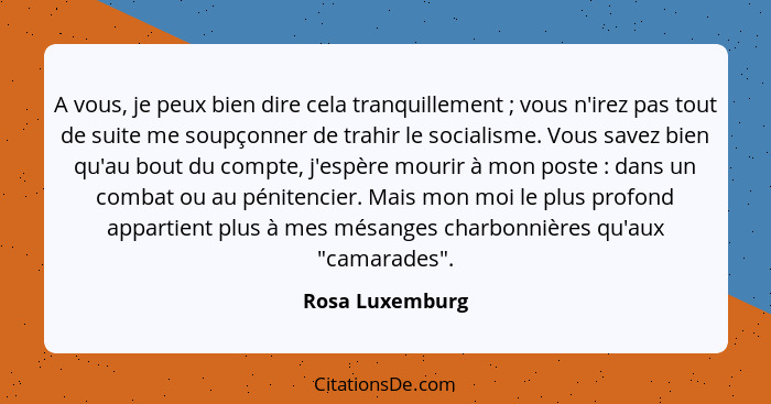 A vous, je peux bien dire cela tranquillement ; vous n'irez pas tout de suite me soupçonner de trahir le socialisme. Vous savez... - Rosa Luxemburg