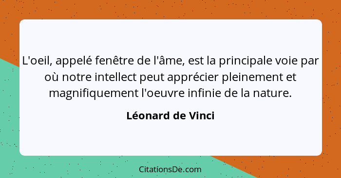 L'oeil, appelé fenêtre de l'âme, est la principale voie par où notre intellect peut apprécier pleinement et magnifiquement l'oeuvre... - Léonard de Vinci