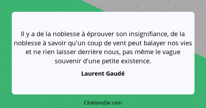 Il y a de la noblesse à éprouver son insignifiance, de la noblesse à savoir qu'un coup de vent peut balayer nos vies et ne rien laisse... - Laurent Gaudé