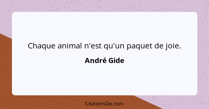 Chaque animal n'est qu'un paquet de joie.... - André Gide