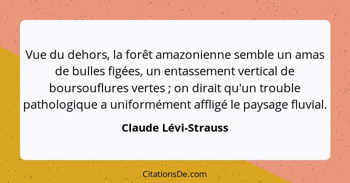 Vue du dehors, la forêt amazonienne semble un amas de bulles figées, un entassement vertical de boursouflures vertes ; on d... - Claude Lévi-Strauss