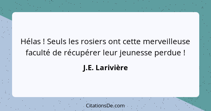 Hélas ! Seuls les rosiers ont cette merveilleuse faculté de récupérer leur jeunesse perdue !... - J.E. Larivière