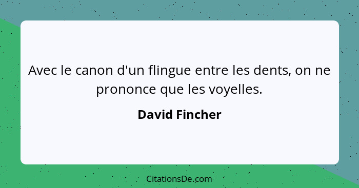 Avec le canon d'un flingue entre les dents, on ne prononce que les voyelles.... - David Fincher