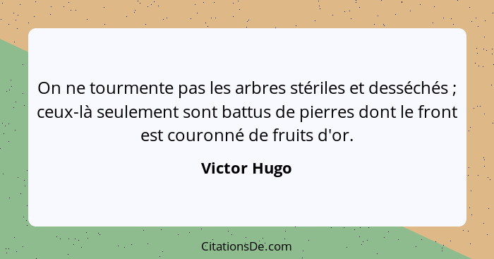 On ne tourmente pas les arbres stériles et desséchés ; ceux-là seulement sont battus de pierres dont le front est couronné de fruit... - Victor Hugo