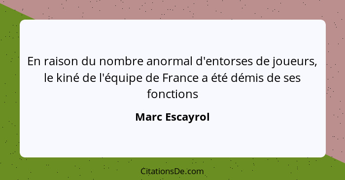 En raison du nombre anormal d'entorses de joueurs, le kiné de l'équipe de France a été démis de ses fonctions... - Marc Escayrol