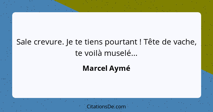 Sale crevure. Je te tiens pourtant ! Tête de vache, te voilà muselé...... - Marcel Aymé