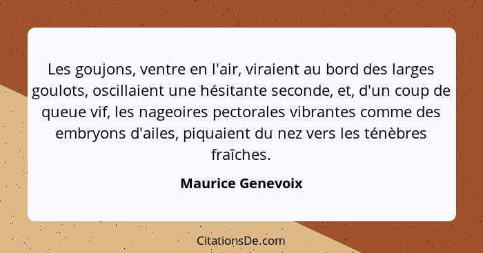 Les goujons, ventre en l'air, viraient au bord des larges goulots, oscillaient une hésitante seconde, et, d'un coup de queue vif, l... - Maurice Genevoix