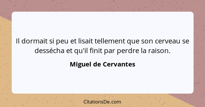 Il dormait si peu et lisait tellement que son cerveau se dessécha et qu'il finit par perdre la raison.... - Miguel de Cervantes