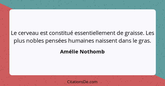 Le cerveau est constitué essentiellement de graisse. Les plus nobles pensées humaines naissent dans le gras.... - Amélie Nothomb