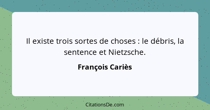 Il existe trois sortes de choses : le débris, la sentence et Nietzsche.... - François Cariès