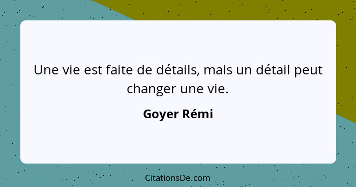 Une vie est faite de détails, mais un détail peut changer une vie.... - Goyer Rémi