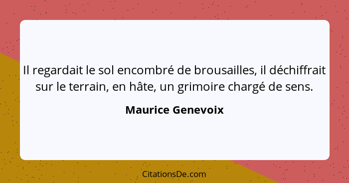 Il regardait le sol encombré de brousailles, il déchiffrait sur le terrain, en hâte, un grimoire chargé de sens.... - Maurice Genevoix