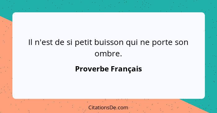 Il n'est de si petit buisson qui ne porte son ombre.... - Proverbe Français