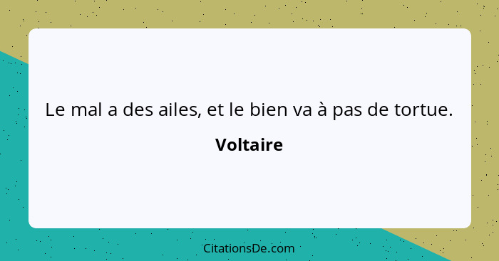 Le mal a des ailes, et le bien va à pas de tortue.... - Voltaire