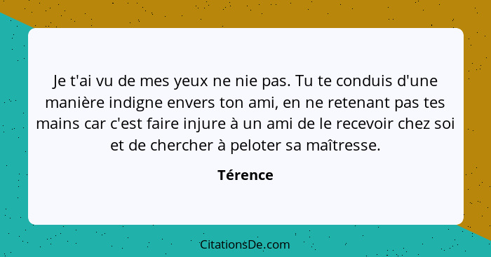 Je t'ai vu de mes yeux ne nie pas. Tu te conduis d'une manière indigne envers ton ami, en ne retenant pas tes mains car c'est faire injure à... - Térence