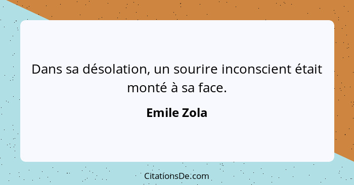 Dans sa désolation, un sourire inconscient était monté à sa face.... - Emile Zola