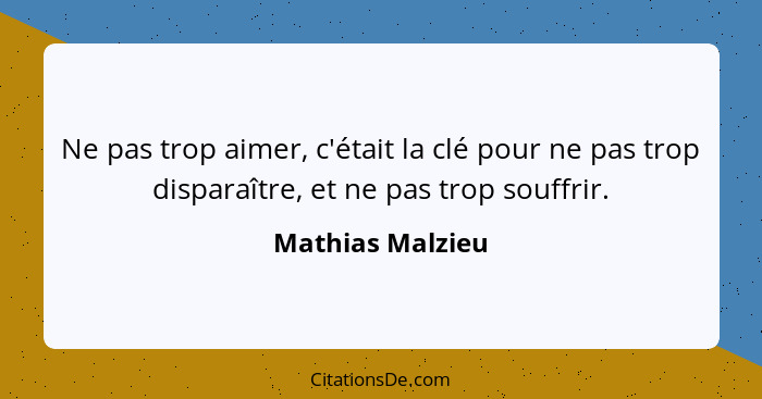 Ne pas trop aimer, c'était la clé pour ne pas trop disparaître, et ne pas trop souffrir.... - Mathias Malzieu