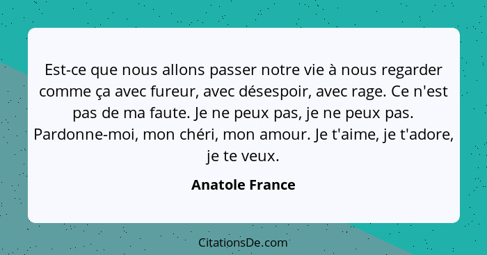 Est-ce que nous allons passer notre vie à nous regarder comme ça avec fureur, avec désespoir, avec rage. Ce n'est pas de ma faute. Je... - Anatole France