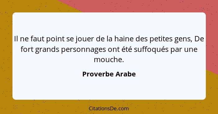 Il ne faut point se jouer de la haine des petites gens, De fort grands personnages ont été suffoqués par une mouche.... - Proverbe Arabe