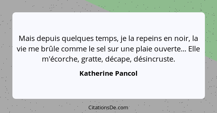 Mais depuis quelques temps, je la repeins en noir, la vie me brûle comme le sel sur une plaie ouverte... Elle m'écorche, gratte, dé... - Katherine Pancol