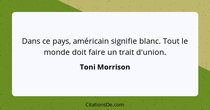 Dans ce pays, américain signifie blanc. Tout le monde doit faire un trait d'union.... - Toni Morrison