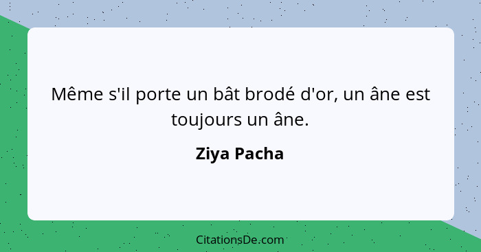 Même s'il porte un bât brodé d'or, un âne est toujours un âne.... - Ziya Pacha