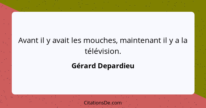 Avant il y avait les mouches, maintenant il y a la télévision.... - Gérard Depardieu