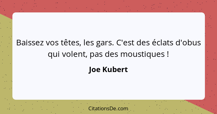 Baissez vos têtes, les gars. C'est des éclats d'obus qui volent, pas des moustiques !... - Joe Kubert