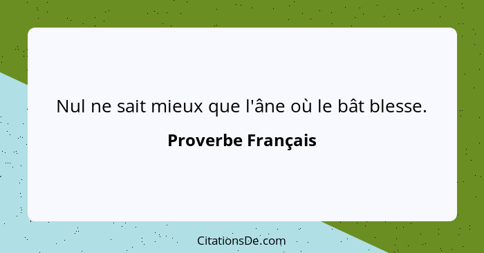 Nul ne sait mieux que l'âne où le bât blesse.... - Proverbe Français