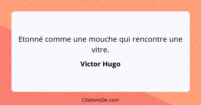 Etonné comme une mouche qui rencontre une vitre.... - Victor Hugo