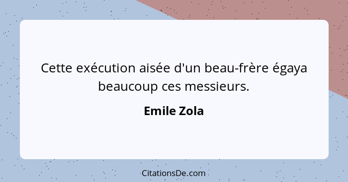 Cette exécution aisée d'un beau-frère égaya beaucoup ces messieurs.... - Emile Zola