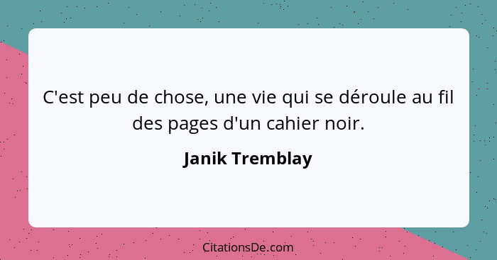 C'est peu de chose, une vie qui se déroule au fil des pages d'un cahier noir.... - Janik Tremblay