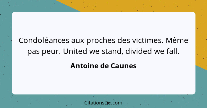 Condoléances aux proches des victimes. Même pas peur. United we stand, divided we fall.... - Antoine de Caunes