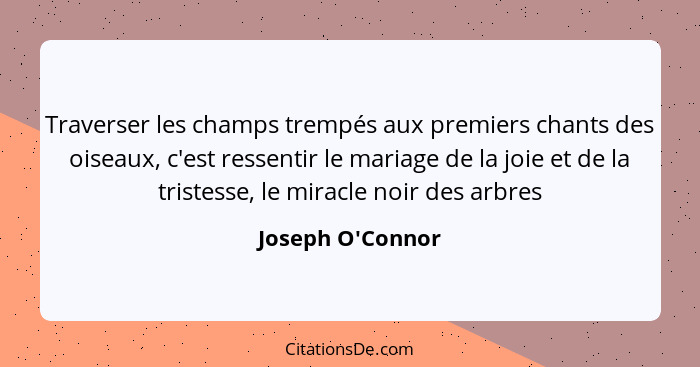 Traverser les champs trempés aux premiers chants des oiseaux, c'est ressentir le mariage de la joie et de la tristesse, le mirac... - Joseph O'Connor