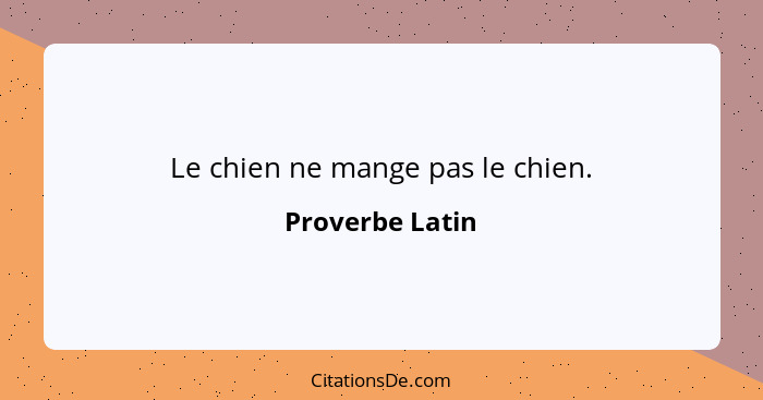 Le chien ne mange pas le chien.... - Proverbe Latin