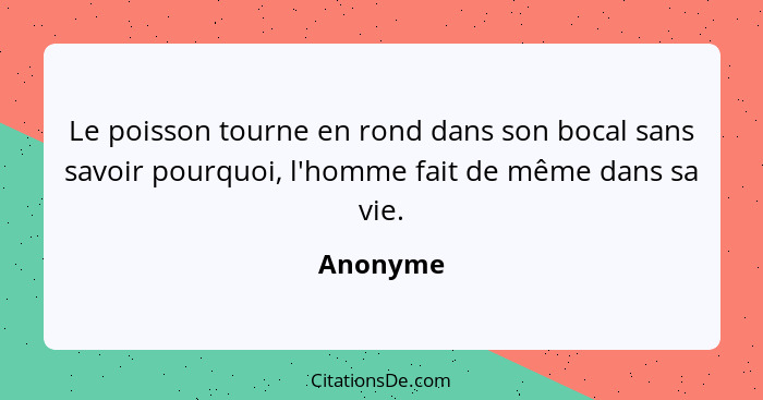 Le poisson tourne en rond dans son bocal sans savoir pourquoi, l'homme fait de même dans sa vie.... - Anonyme