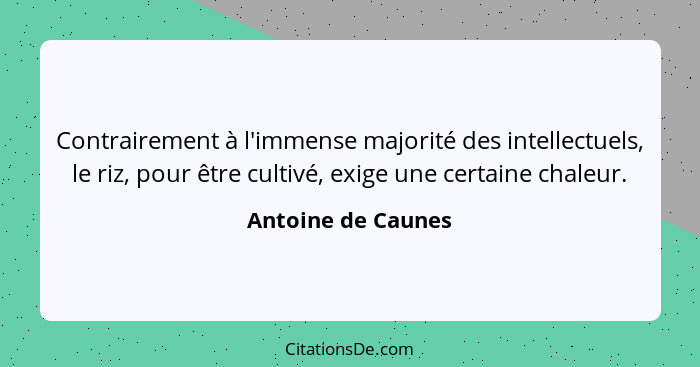 Contrairement à l'immense majorité des intellectuels, le riz, pour être cultivé, exige une certaine chaleur.... - Antoine de Caunes