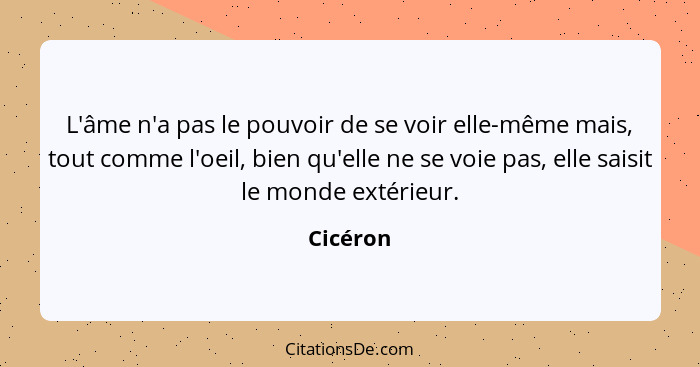 L'âme n'a pas le pouvoir de se voir elle-même mais, tout comme l'oeil, bien qu'elle ne se voie pas, elle saisit le monde extérieur.... - Cicéron