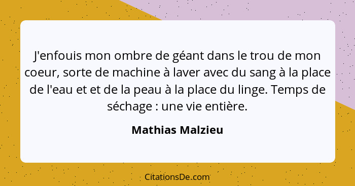 J'enfouis mon ombre de géant dans le trou de mon coeur, sorte de machine à laver avec du sang à la place de l'eau et et de la peau à... - Mathias Malzieu