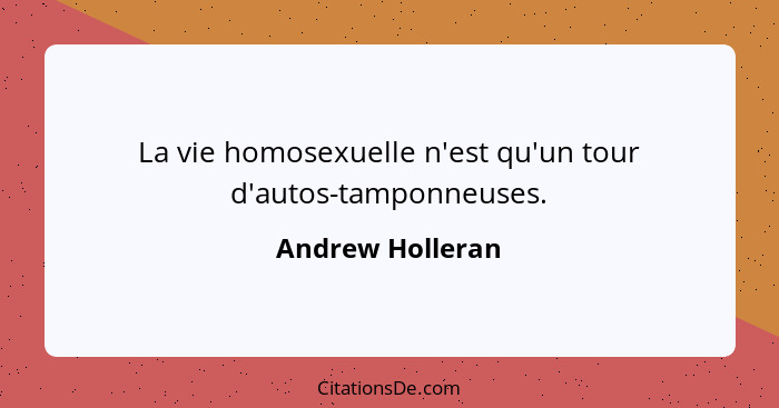 La vie homosexuelle n'est qu'un tour d'autos-tamponneuses.... - Andrew Holleran