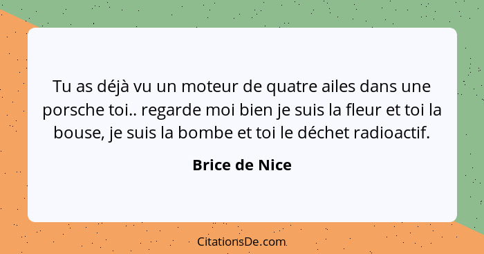 Tu as déjà vu un moteur de quatre ailes dans une porsche toi.. regarde moi bien je suis la fleur et toi la bouse, je suis la bombe et... - Brice de Nice