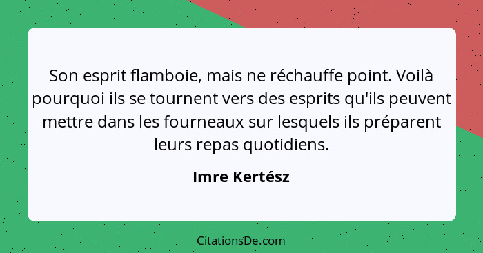 Son esprit flamboie, mais ne réchauffe point. Voilà pourquoi ils se tournent vers des esprits qu'ils peuvent mettre dans les fourneaux... - Imre Kertész