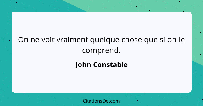 On ne voit vraiment quelque chose que si on le comprend.... - John Constable