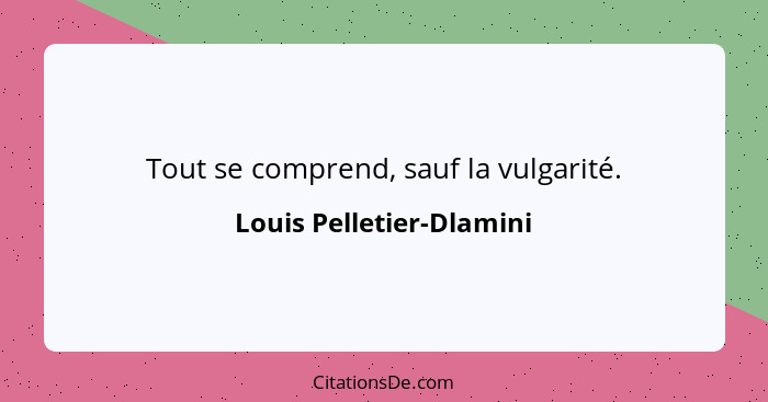 Tout se comprend, sauf la vulgarité.... - Louis Pelletier-Dlamini