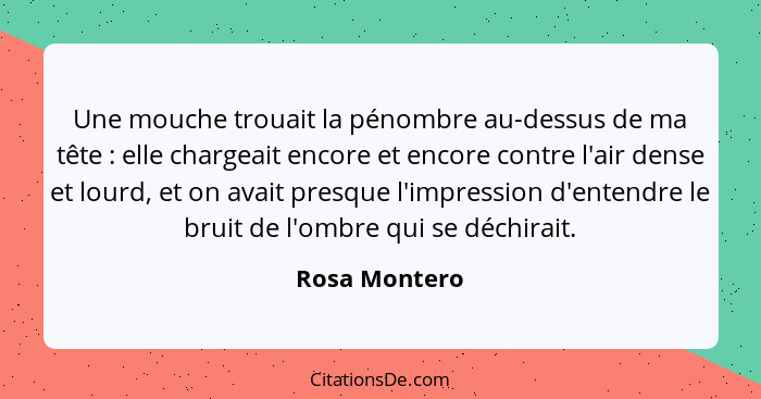 Une mouche trouait la pénombre au-dessus de ma tête : elle chargeait encore et encore contre l'air dense et lourd, et on avait pre... - Rosa Montero