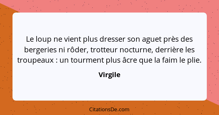 Le loup ne vient plus dresser son aguet près des bergeries ni rôder, trotteur nocturne, derrière les troupeaux : un tourment plus âcre... - Virgile