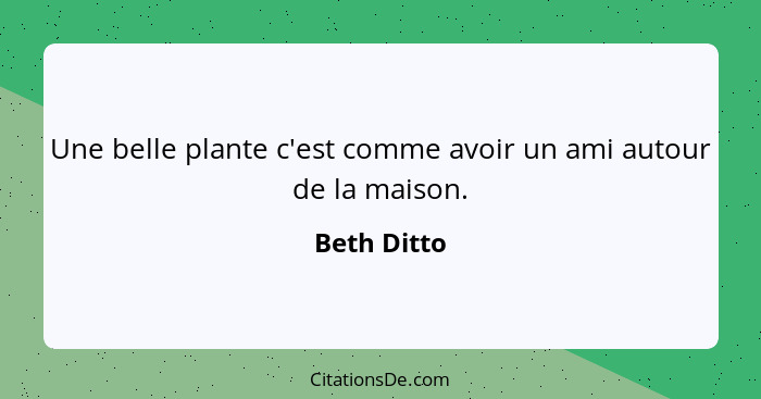 Une belle plante c'est comme avoir un ami autour de la maison.... - Beth Ditto