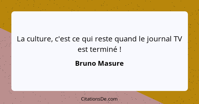 La culture, c'est ce qui reste quand le journal TV est terminé !... - Bruno Masure