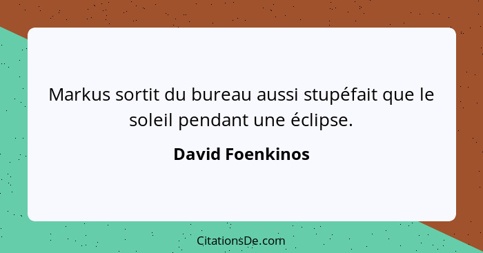 Markus sortit du bureau aussi stupéfait que le soleil pendant une éclipse.... - David Foenkinos