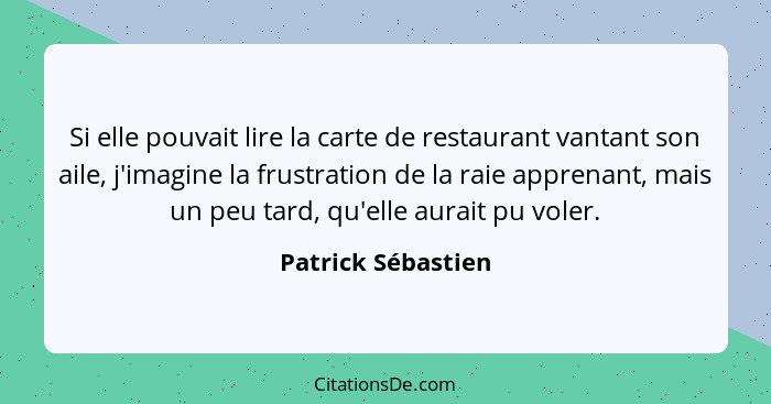 Si elle pouvait lire la carte de restaurant vantant son aile, j'imagine la frustration de la raie apprenant, mais un peu tard, qu'... - Patrick Sébastien